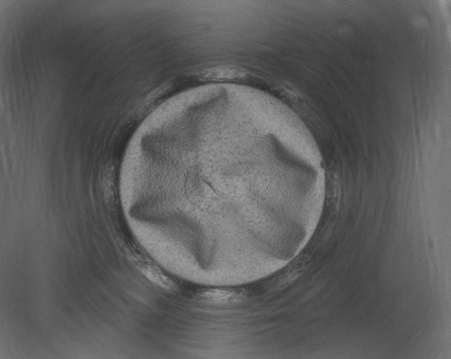 X0000080690326200701121732