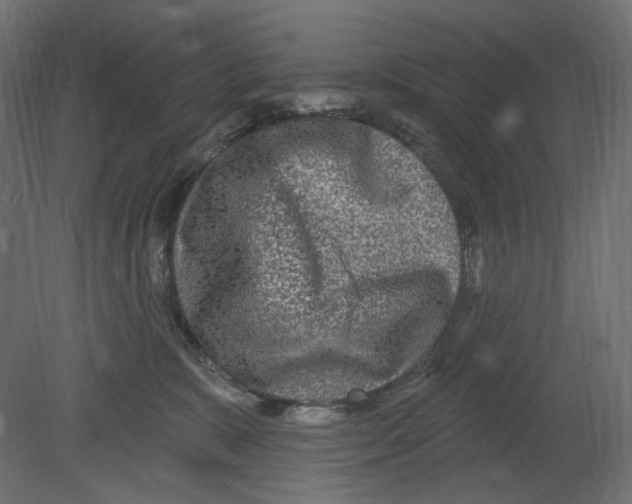 X0000080690327200701121732