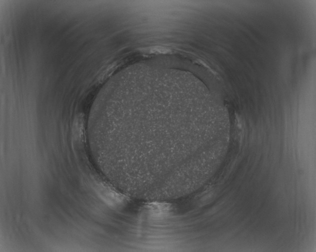 X0000080690328200701121732