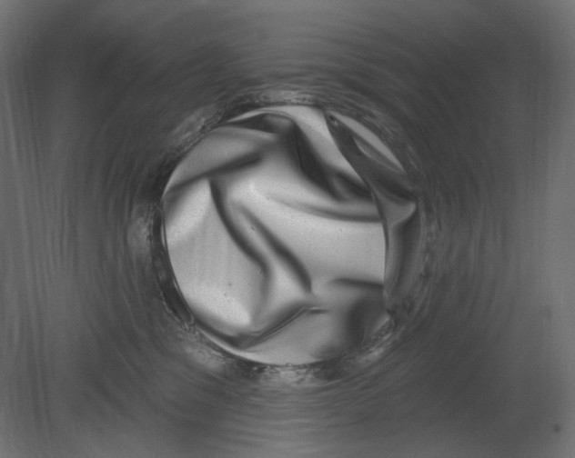 X0000080690329200701121732