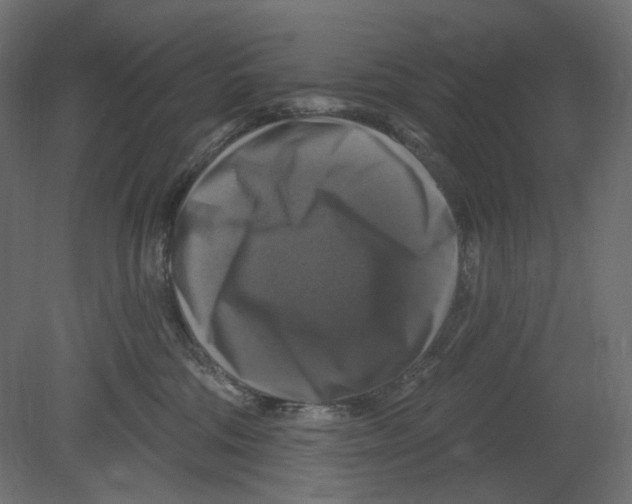 X0000080690330200701121731