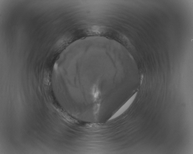 X0000080690331200701121731