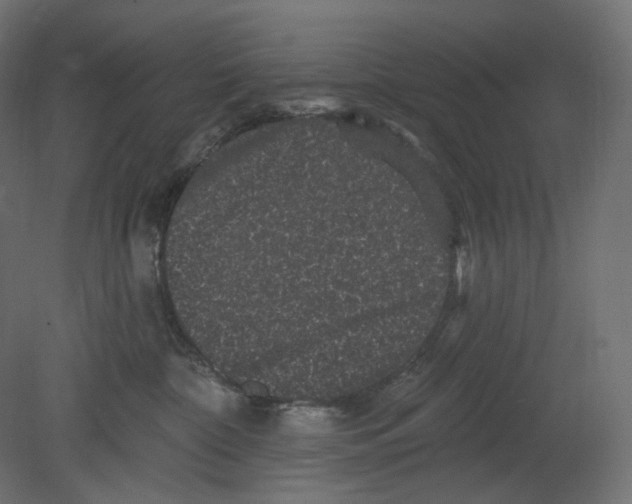 X0000080690332200701121731