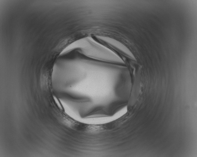 X0000080690333200701121731