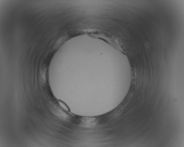 X0000080690334200701121731