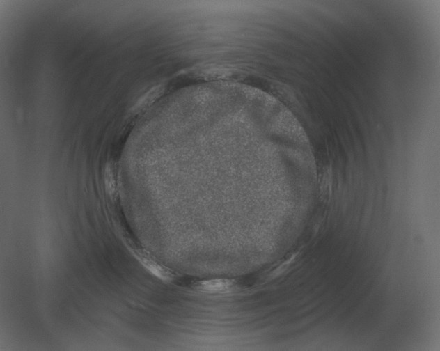 X0000080690335200701121731