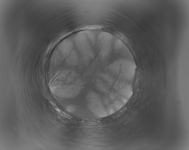 X0000080690337200701121731