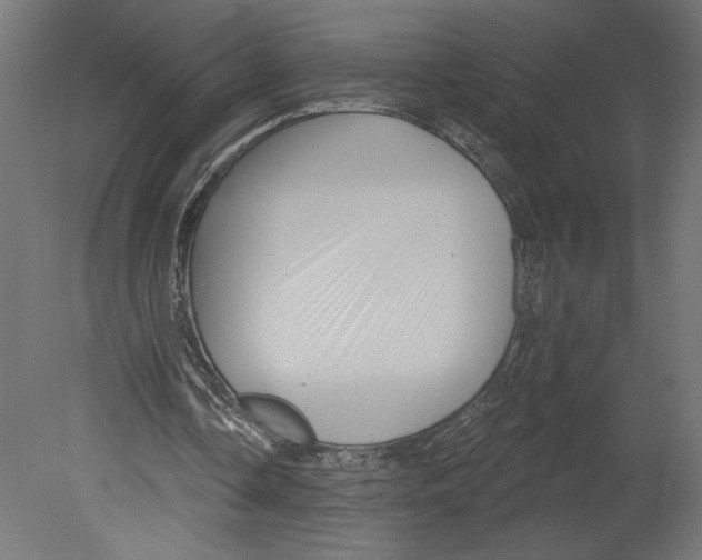 X0000080690338200701121731