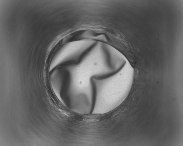 X0000080690340200701121731