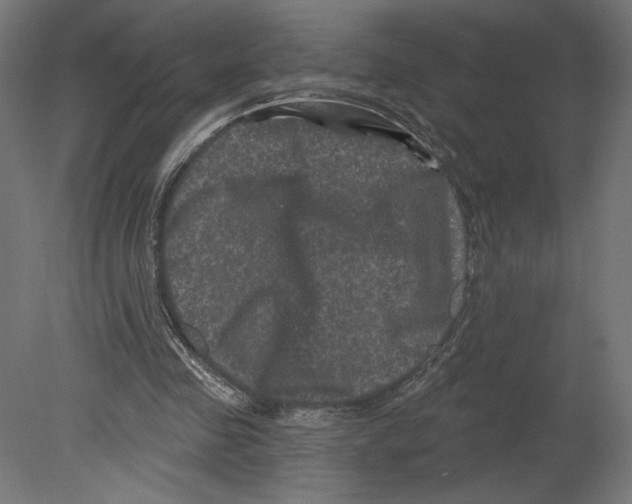 X0000080690341200701121731