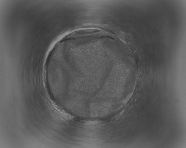 X0000080690342200701121731