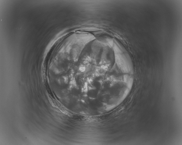 X0000080690343200701121731