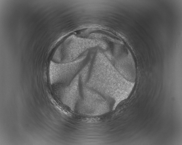 X0000080690345200701121731