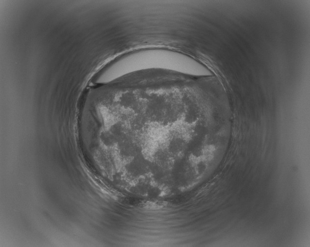 X0000080690346200701121731