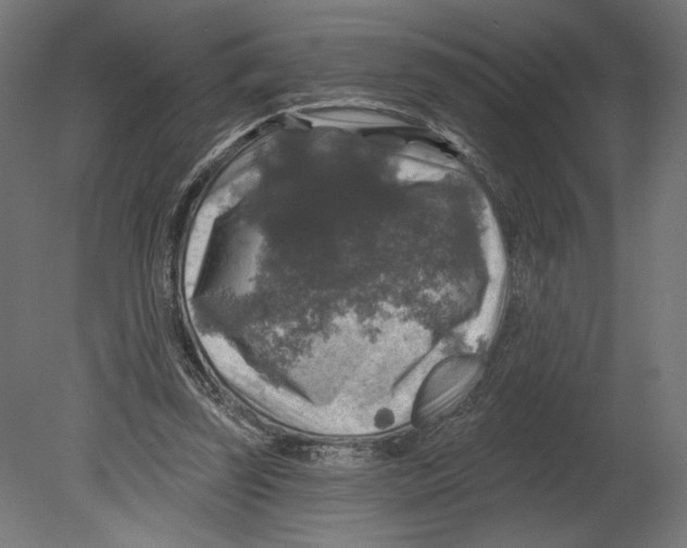 X0000080690347200701121731