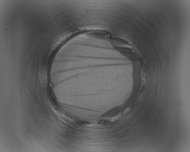 X0000080690348200701121731