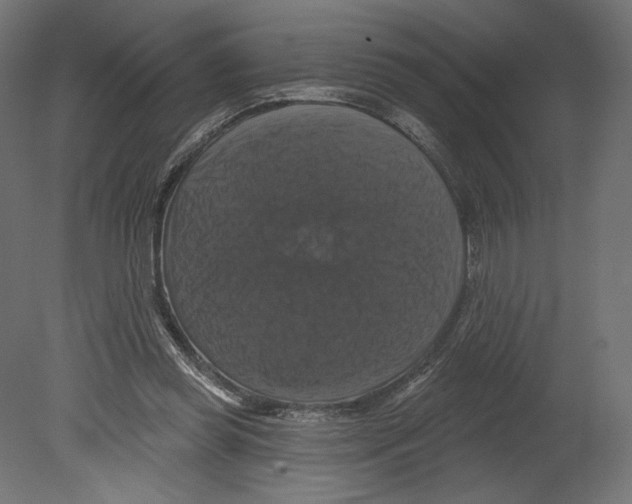 X0000080690349200701121731