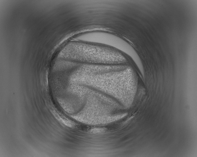 X0000080690350200701121731