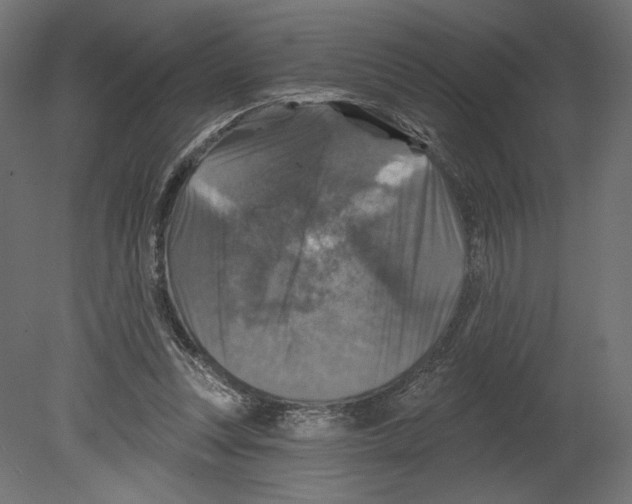 X0000080690351200701121731