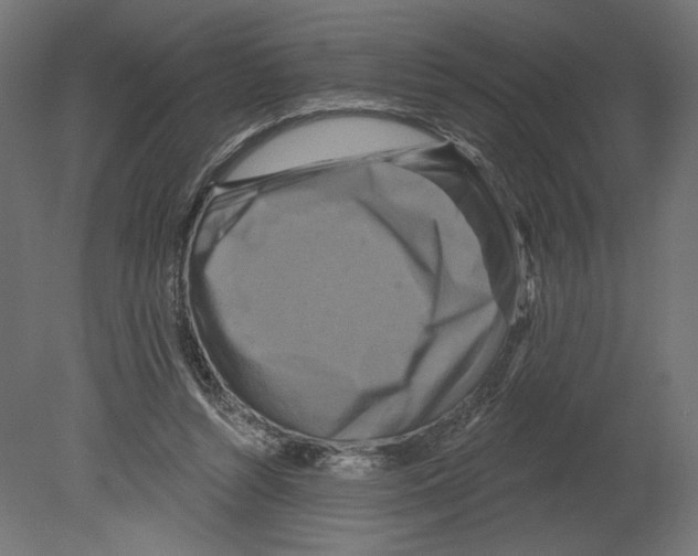 X0000080690352200701121731