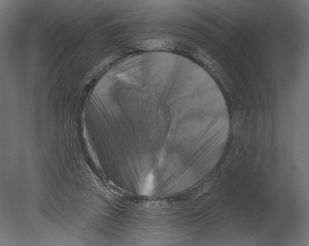 X0000080690353200701121731