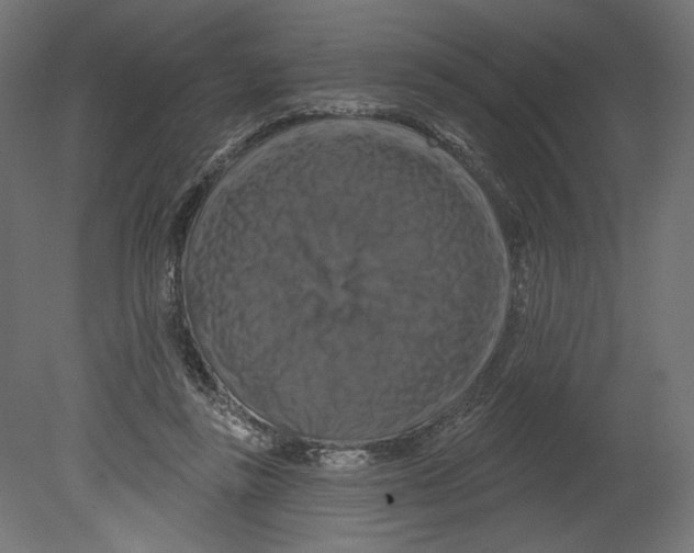 X0000080690355200701121731