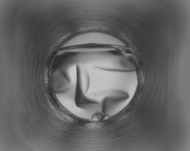 X0000080690356200701121731