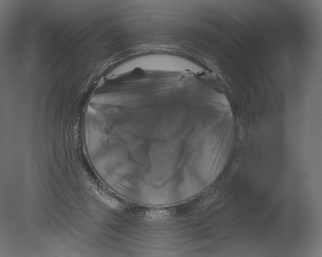 X0000080690357200701121731