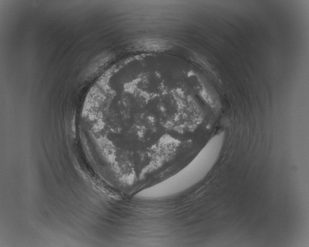 X0000080690358200701121731