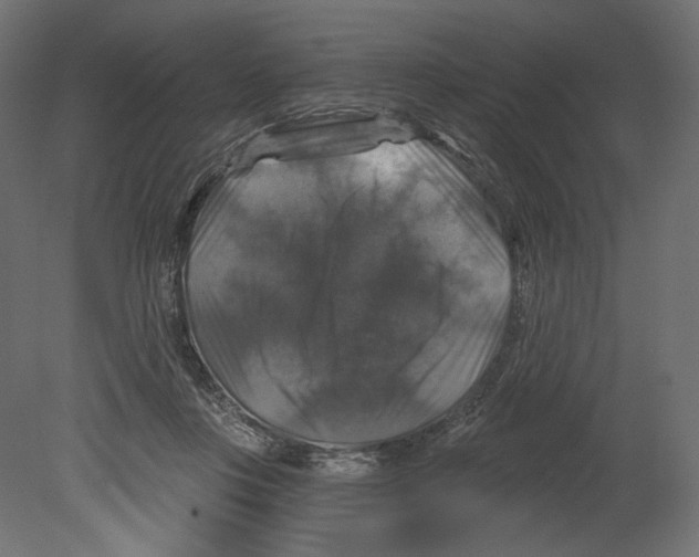 X0000080690359200701121731