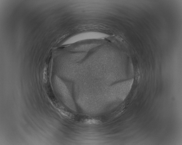 X0000080690360200701121731