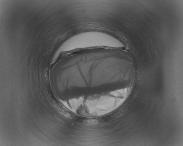 X0000080690361200701121731