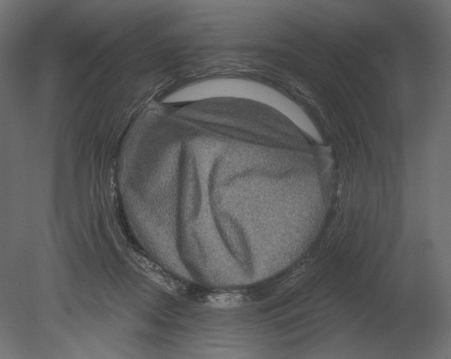 X0000080690362200701121731