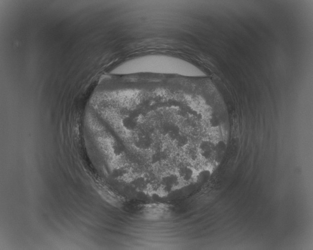 X0000080690363200701121731