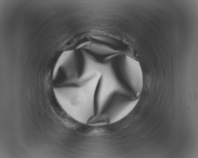 X0000080690364200701121731