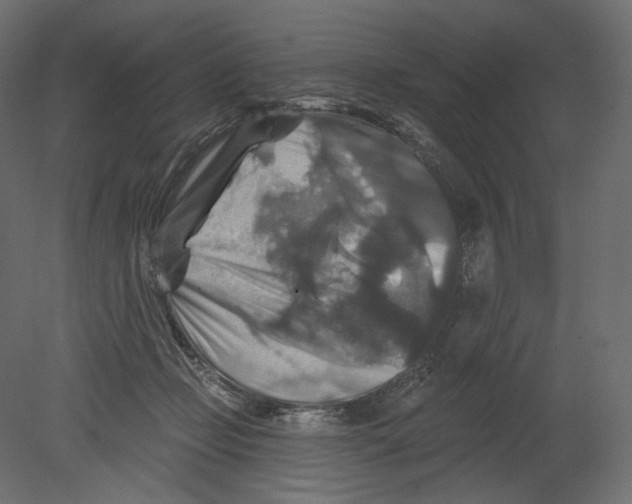 X0000080690365200701121731