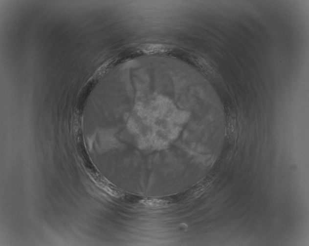 X0000080690367200701121731