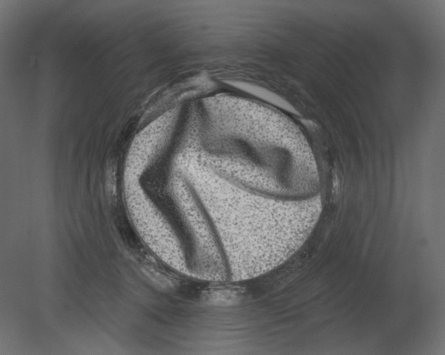 X0000080690368200701121731