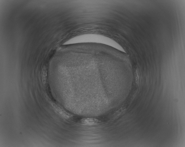 X0000080690372200701121731