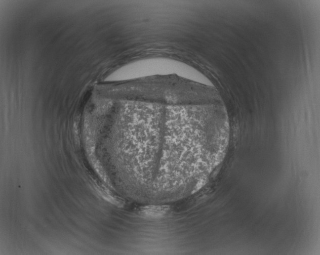 X0000080690373200701121731