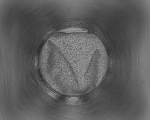 X0000080690374200701121731