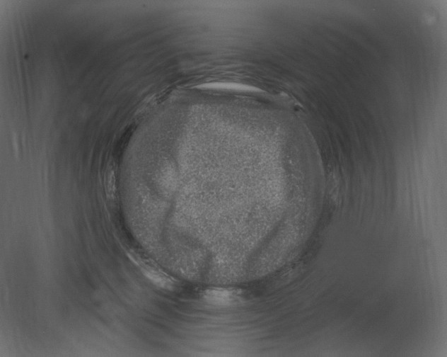 X0000080690375200701121731