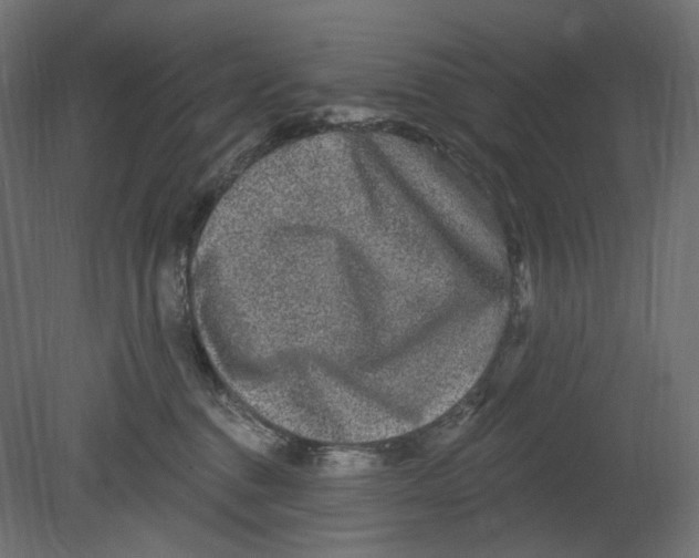 X0000080690376200701121731