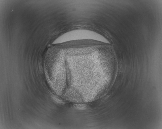 X0000080690377200701121731