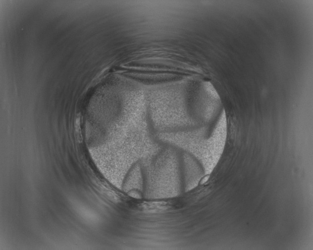 X0000080690378200701121731