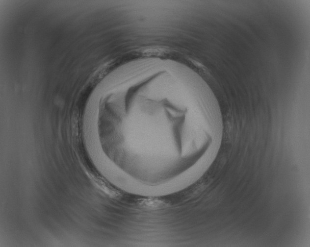 X0000080690379200701121731