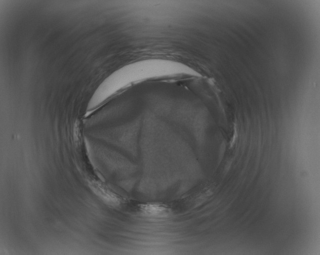 X0000080690380200701121731