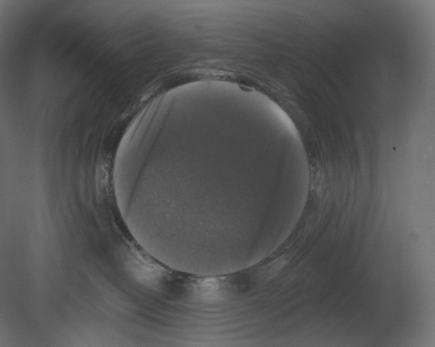 X0000080690382200701121731