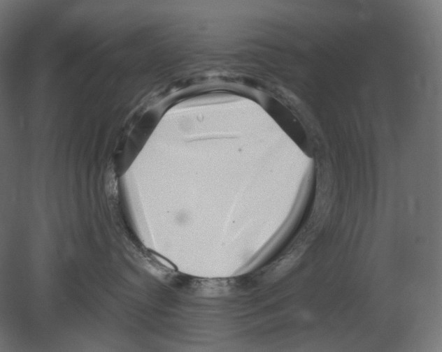 X0000080690384200701121731