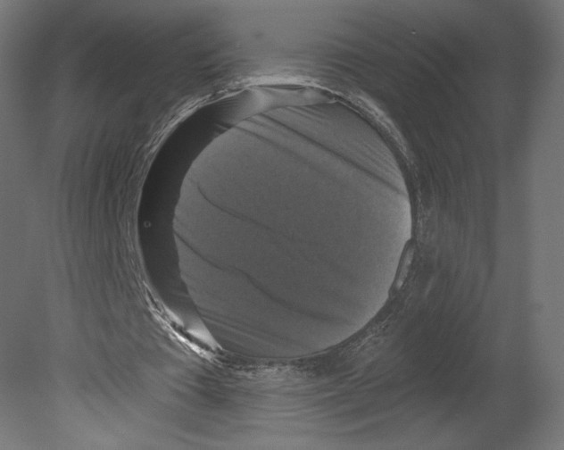 X0000080690385200701121731